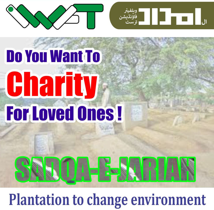 Impact Photo other-9